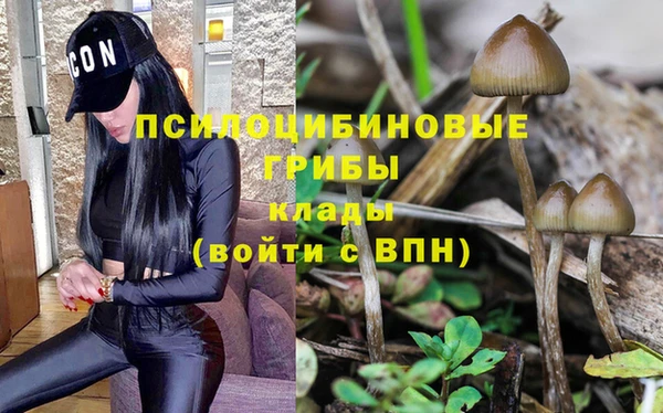 прущая мука Ладушкин