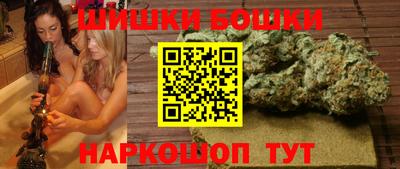 стаф Аргун