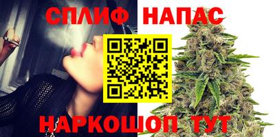 стаф Аргун