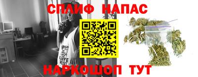 стаф Аргун