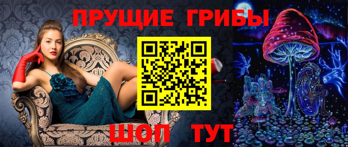 Златоуст  где можно купить   Псилоцибиновые грибы MAGIC MUSHROOMS  Вход с VPN  Псилоцибиновые грибы GOLDEN TEACHER 