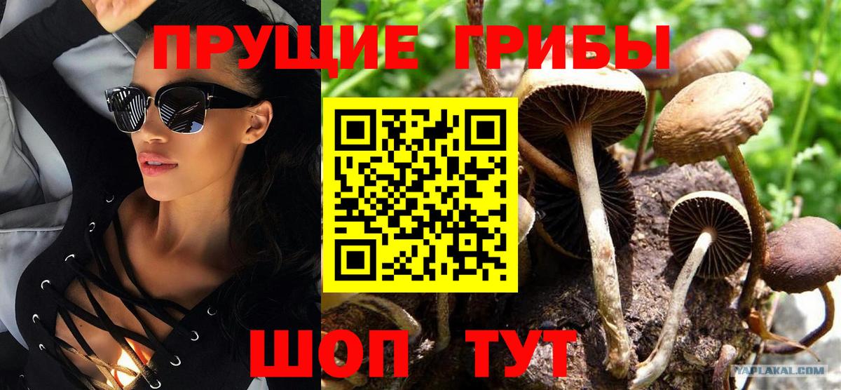 Галлюциногенные грибы мицелий  Златоуст 