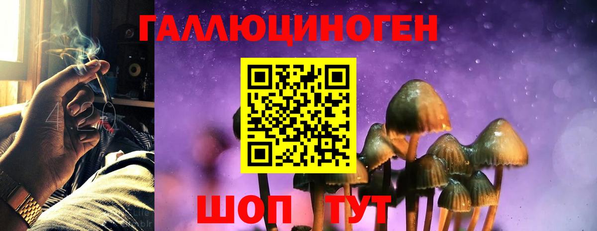 Галлюциногенные грибы прущие грибы Златоуст